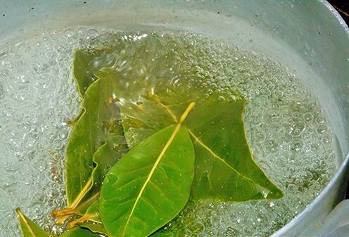 Un decotto di foglie di alloro per un bagno rilassante in caso di problemi di potenza
