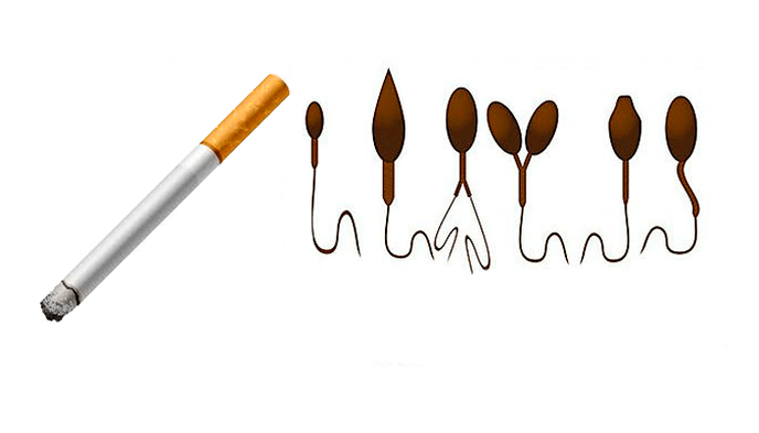 Struttura anormale dello sperma a causa della dipendenza da tabacco