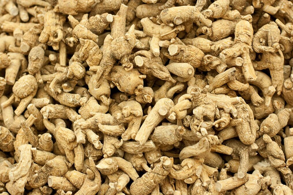 Radice di ginseng per aumentare la potenza